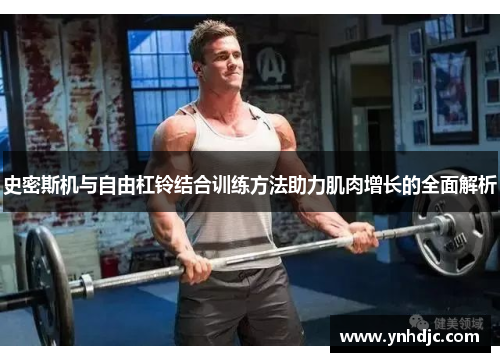 史密斯机与自由杠铃结合训练方法助力肌肉增长的全面解析