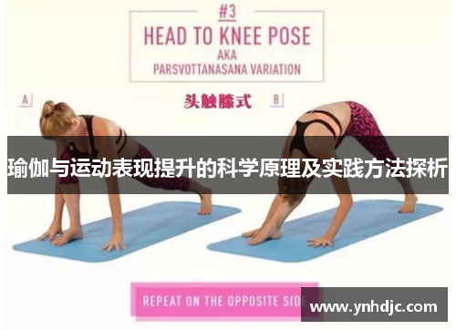 瑜伽与运动表现提升的科学原理及实践方法探析